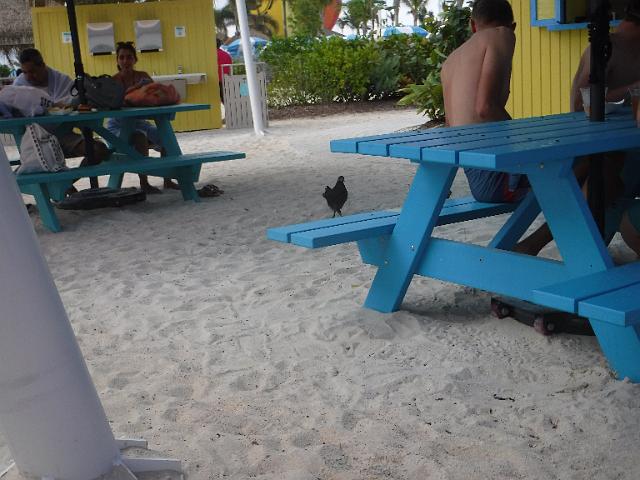 DSCF2156.JPG