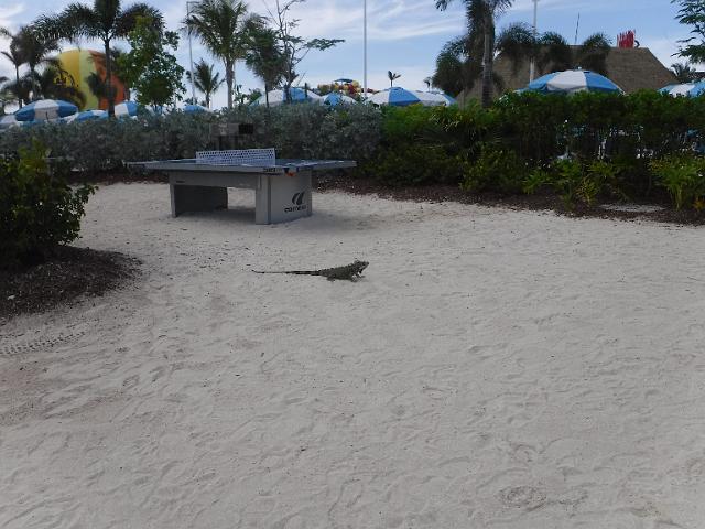 DSCF2158.JPG