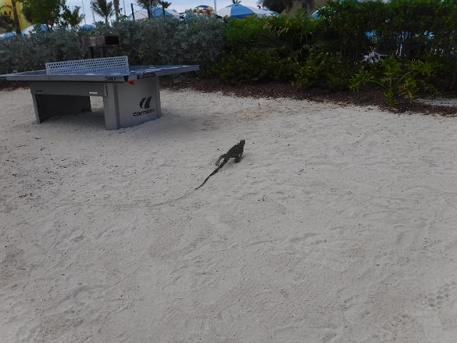 DSCF2159.JPG