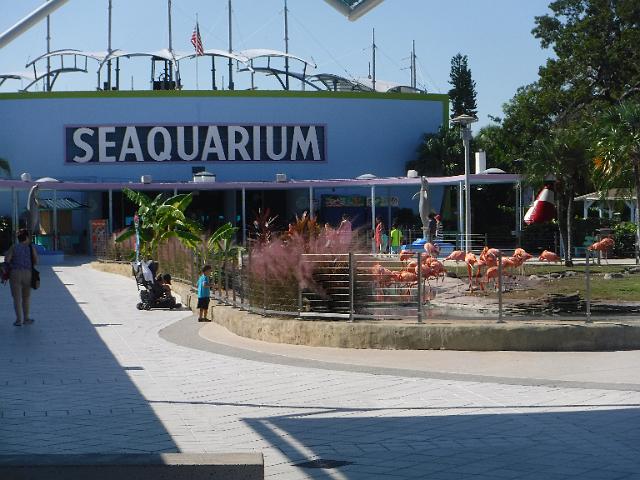 DSCF2219.JPG