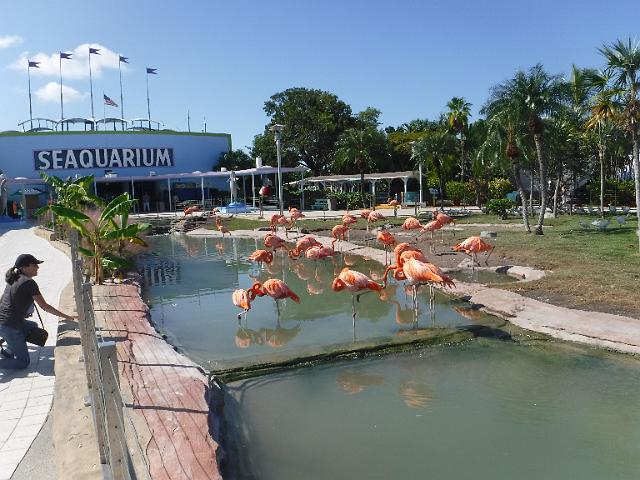 DSCF2220.JPG