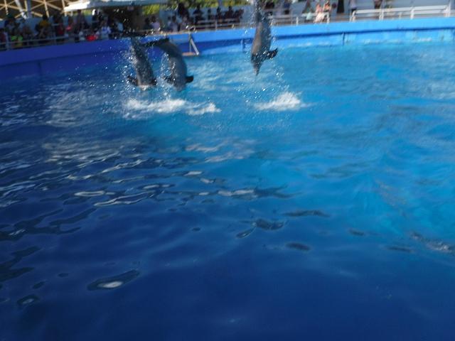 DSCF2226.JPG