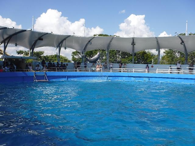 DSCF2227.JPG