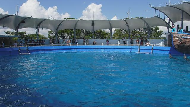 DSCF2230.JPG