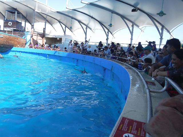 DSCF2235.JPG
