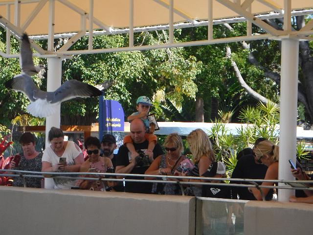 DSCF2238.JPG