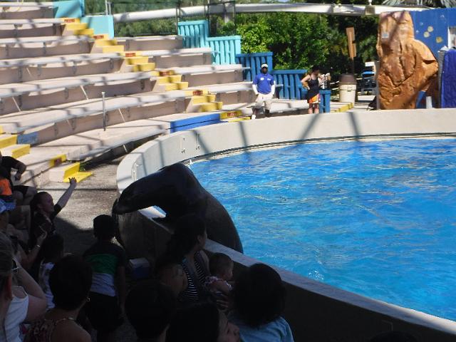 DSCF2246.JPG