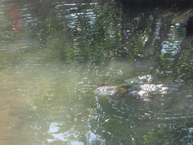 DSCF2254.JPG