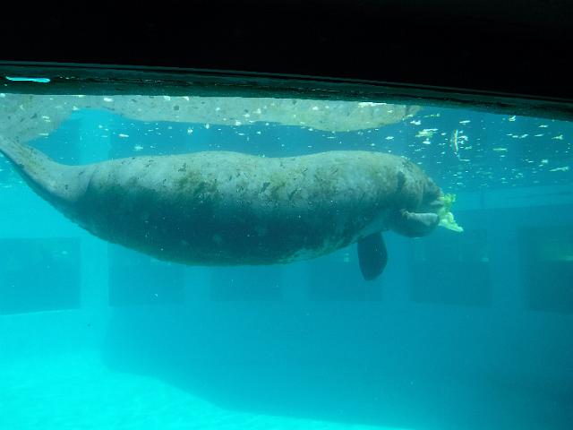 DSCF2258.JPG