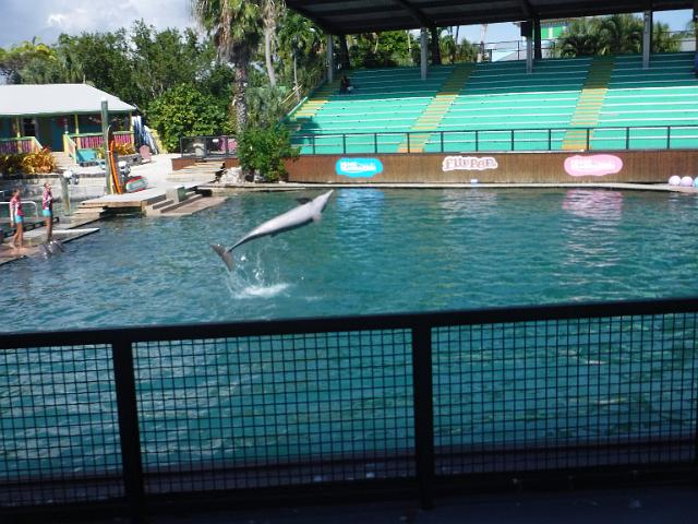 DSCF2261.JPG