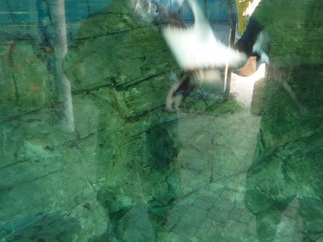 DSCF2264.JPG