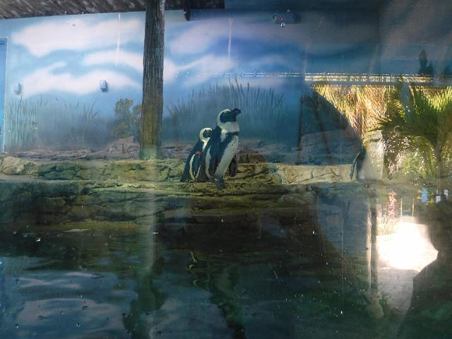 DSCF2265.JPG