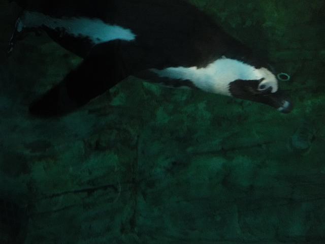 DSCF2267.JPG