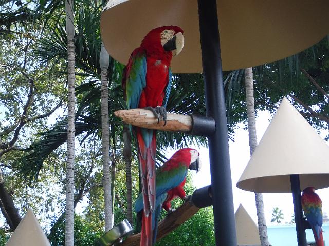 DSCF2270.JPG