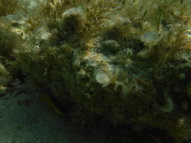 FILE01758.jpg