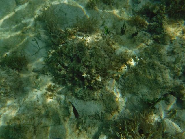 FILE01779.jpg