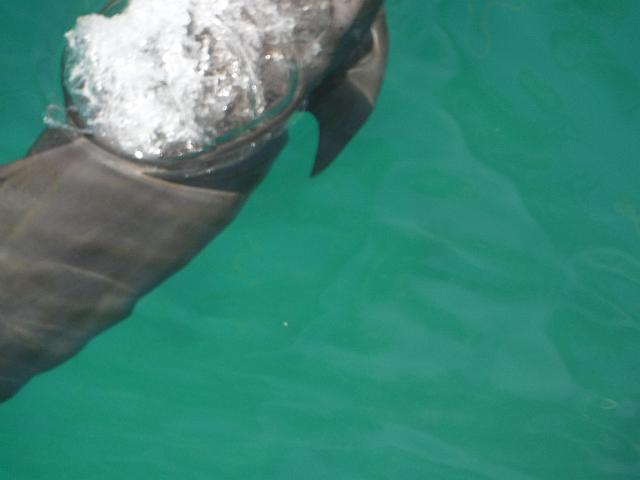 FILE01812.jpg