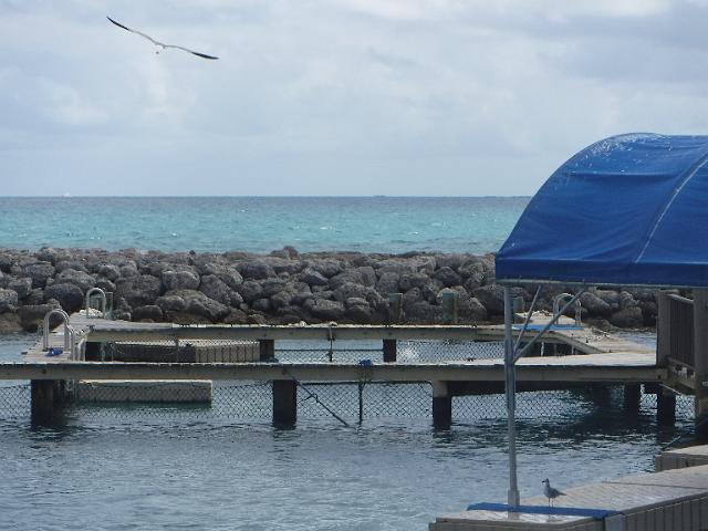 FILE01819.jpg