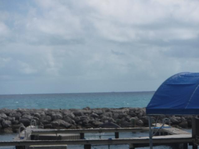 FILE01820.jpg
