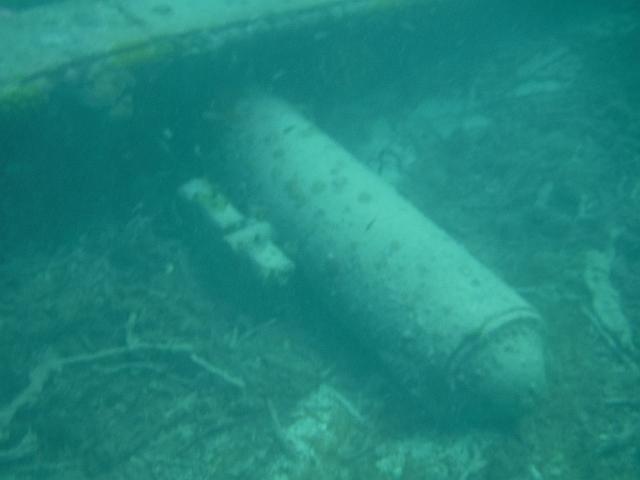 FILE01888.jpg