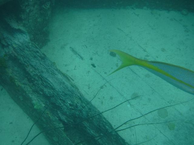 FILE01889.jpg