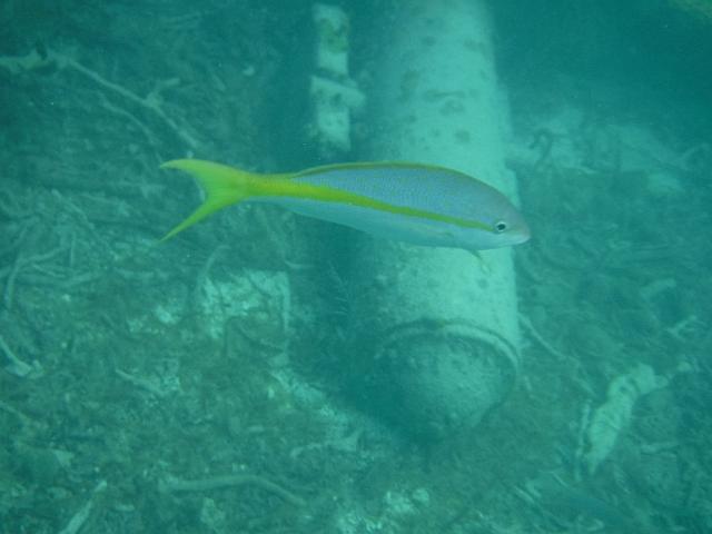 FILE01890.jpg