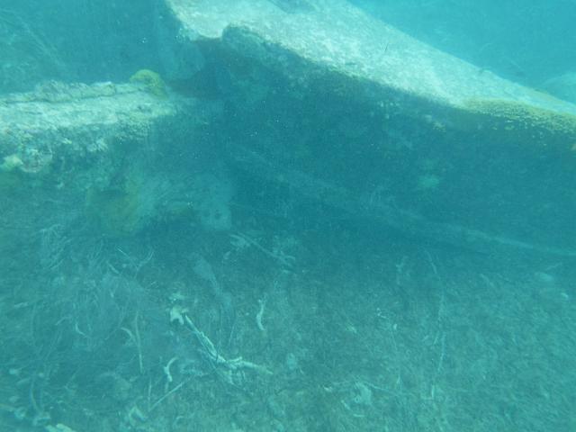 FILE01891.jpg