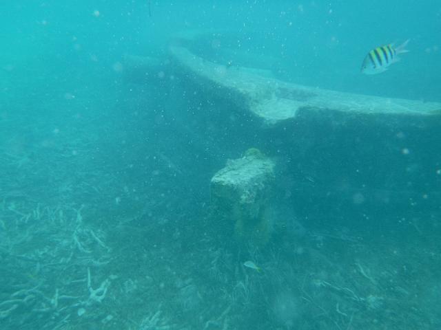 FILE01892.jpg