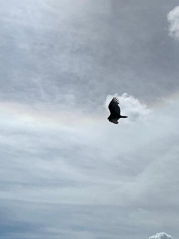 IMG_7909.JPG
