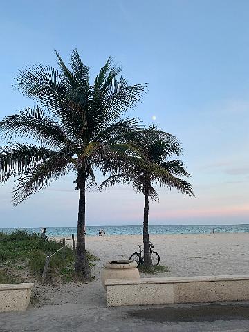 IMG_8009.JPG