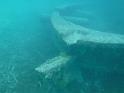FILE01894