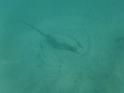 FILE01896