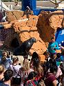 IMG_7991