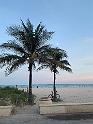 IMG_8009
