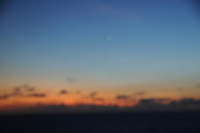DSC_2305.JPG