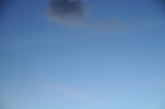 DSC_2307.JPG