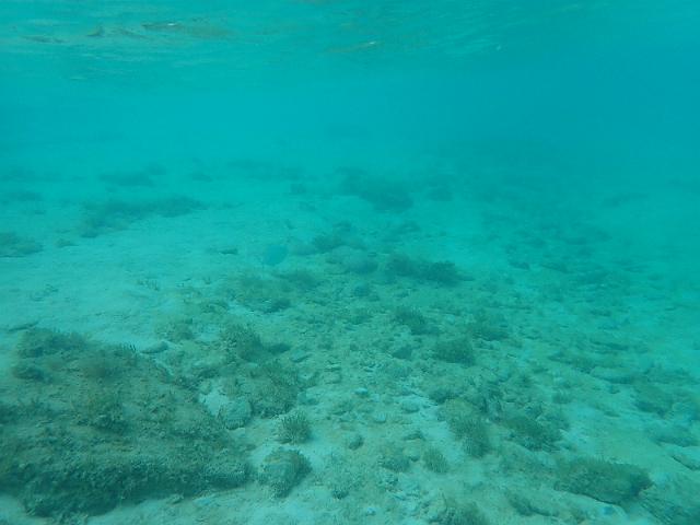 PB050187.JPG