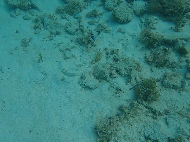 PB050200.JPG