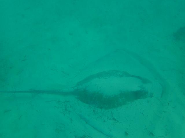 PB060339.JPG