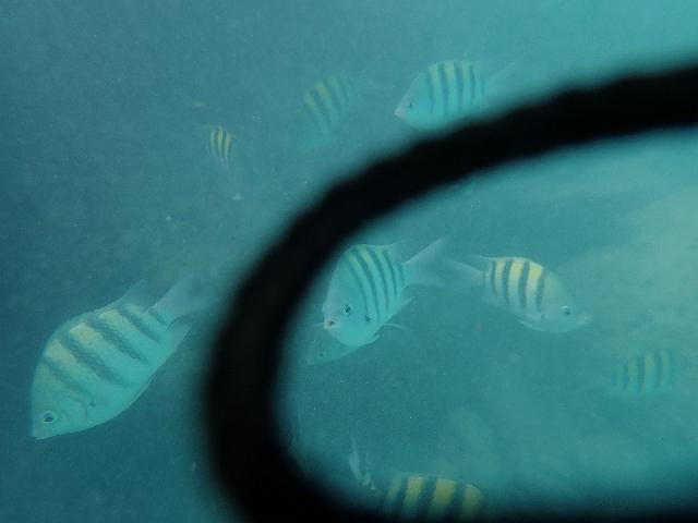 PB060342.JPG