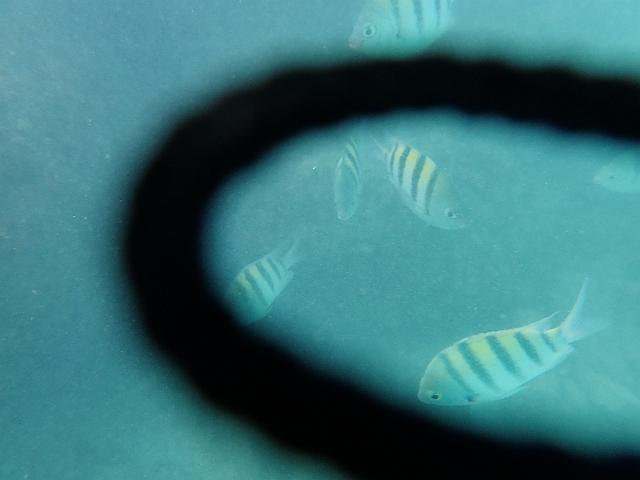 PB060343.JPG