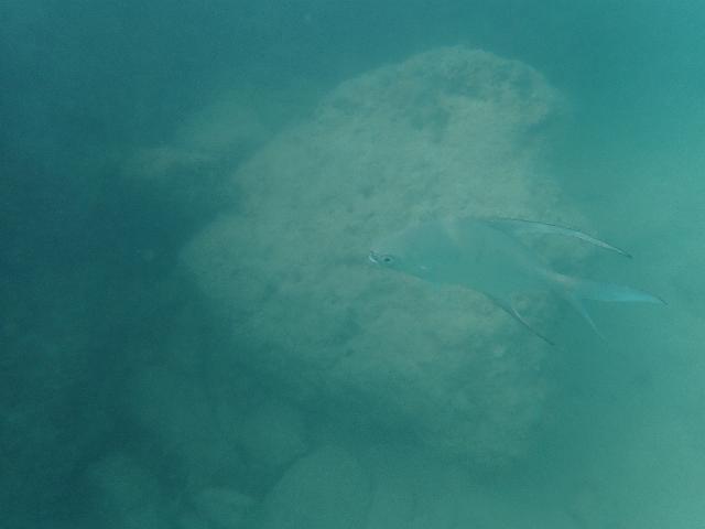 PB060346.JPG