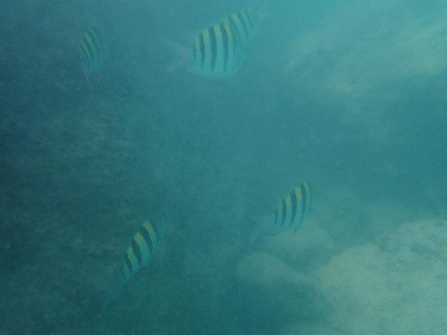 PB060348.JPG
