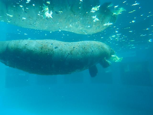 PB080564.JPG