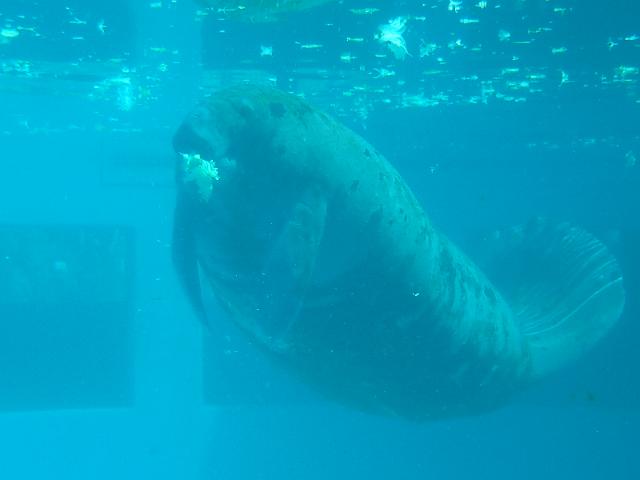 PB080566.JPG