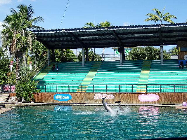PB080577.JPG