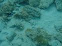 PB050202