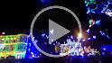 Osborne Family Lights