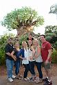 AK_TREEBACK_7540991558