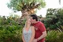 AK_TREEBACK_7540991569